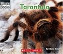 Tarantula (Welcome Books: Animals of the World)