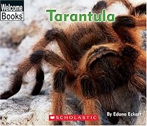 Tarantula (Welcome Books: Animals of the World)