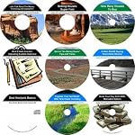 The Incredible 9 Audio CD No Money Down, Wealth Generating, Real Estate Mentoring System book cover