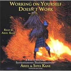 Working on Yourself Doesn�t Work: A Book on CD About Instantaneous Transformation by Shya Kane