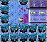 Pokemon Gold