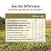 Instinct Raw Boost Grain Free Chicken Meal Formula Natural Dry Dog Food By Nature'S Variety, 4.1 Lb. Bag