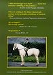 The Horse Morse Code: A Riding Revolution, Simplicity, Lightness the Aim