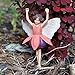 Miniature Fairy Garden Fuchsia Fairy