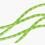 Neo Neon DL-2W-18FT-1-120V-G 18' Green Rope Light