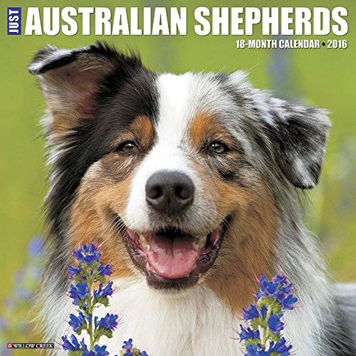2016 Just Australian Shepherds Wall Calendar