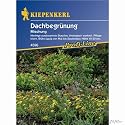 Dachbegr&uuml;nung 'Mischung'