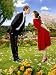 Pushing Daisies (TV) - Movie Poster - 11 x 17 Pushing Daisies (TV) - Movie Poster - 11 x 17