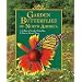 Garden Butterflies of North America: A Gallery of Garden Butterflies & How to Attract Them