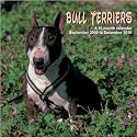 Bull Terriers 2010 Wall Calendar