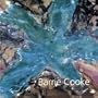 Barrie Cooke (Profiles)
