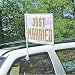 Just Married Car Flag