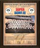 Jets Mounted Memories Jets Healy Plaque Super Bowl III ( Jets )