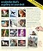 Cat 2014 Gallery Calendar