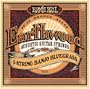 Ernie Ball 2063 Earthwood 5-string Banjo Bluegrass 80/20 Bronze Loop End gauges 9,11,13,20w,9