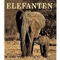 Elefanten