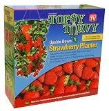 TOPSY TURVY STRAWBERRY PLANTER-''TURNING THE WORLD OF GARDENING UPSIDE DOWN''