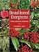 Broad-Leaved Evergreens: Trees, Shrubs & Climbers