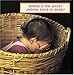 Where's the Baby?/¿Dónde está el bebé? (English/Spanish bilingual edition)