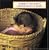 Where's the Baby?/�D�nde est� el beb�? (English/Spanish bilingual edition)