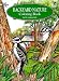 Backyard Nature Coloring Book (Dover Nature Coloring Book) by Dot Barlowe, Coloring Books