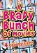 A Brady Bunch of Movies (The Brady Bunch Movie / A Very Brady Sequel / Brady Bunch In The White House / Growing Up Brady)