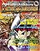Pojo's Unofficial Total Duel Masters: History Of Dual Masters