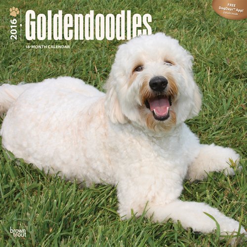 Goldendoodles 2016 Square 12x12 (Multilingual Edition)