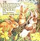 The Velveteen Rabbit