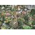 Gibsons Puzzle - I Love Gardening - 1,000 Piece Jigsaw