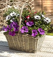Summer Willow Trug