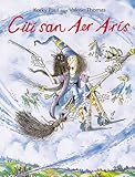 Cití san aer arís