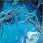 Tyranny of Beauty by Tangerine Dream