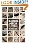 Rethinking American Electoral Democracy (Controversies in Electoral Democracy and Representation)