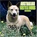 Australian Cattle Dogs 2006 Calendar