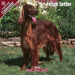 2009 Irish Setter Wall Calendar