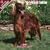 2009 Irish Setter Wall Calendar