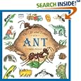 The Life and Times of the Ant