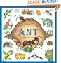 The Life and Times of the Ant
