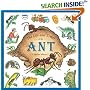The Life and Times of the Ant