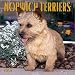 Norwich Terriers 2002 Wall Calendar