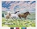 Reeves Senior Paint by Numbers - Galloping Horses