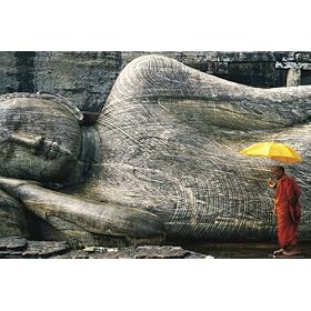 Big Buddha - Poster (Sleeping Buddha & Tibetan Monk) (Size: 36