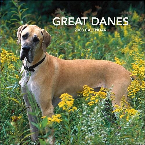 Buy Great Danes International Wall – 2008 Calendar