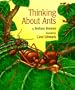 Thinking about Ants