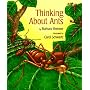 Thinking About Ants