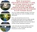 The Special How To Earn Extra Money, Marketing and Success Principles for Soap Dispensers On-line Businesses 3 CD Power Pack
