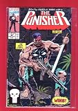  : The Punisher: He Who Lives. . .Wins! (The Punisher, Vol. II, No. 40, Early Oct. 1990)
