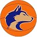 Fanmats Washington Huskies Basketball-Shaped Mat
