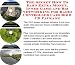 Book The Secret How To Earn Extra Money, Inner Game and Biz Networking for Radio Controlled Cars Biz 3 CD Package